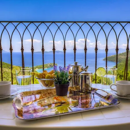 Andromeda-pegasus Sývota