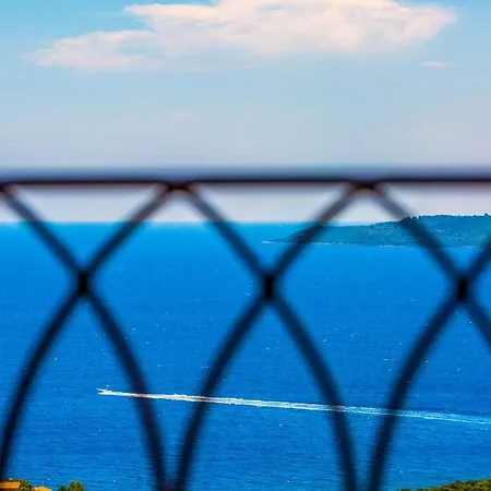 Villa Andromeda-pegasus Sývota